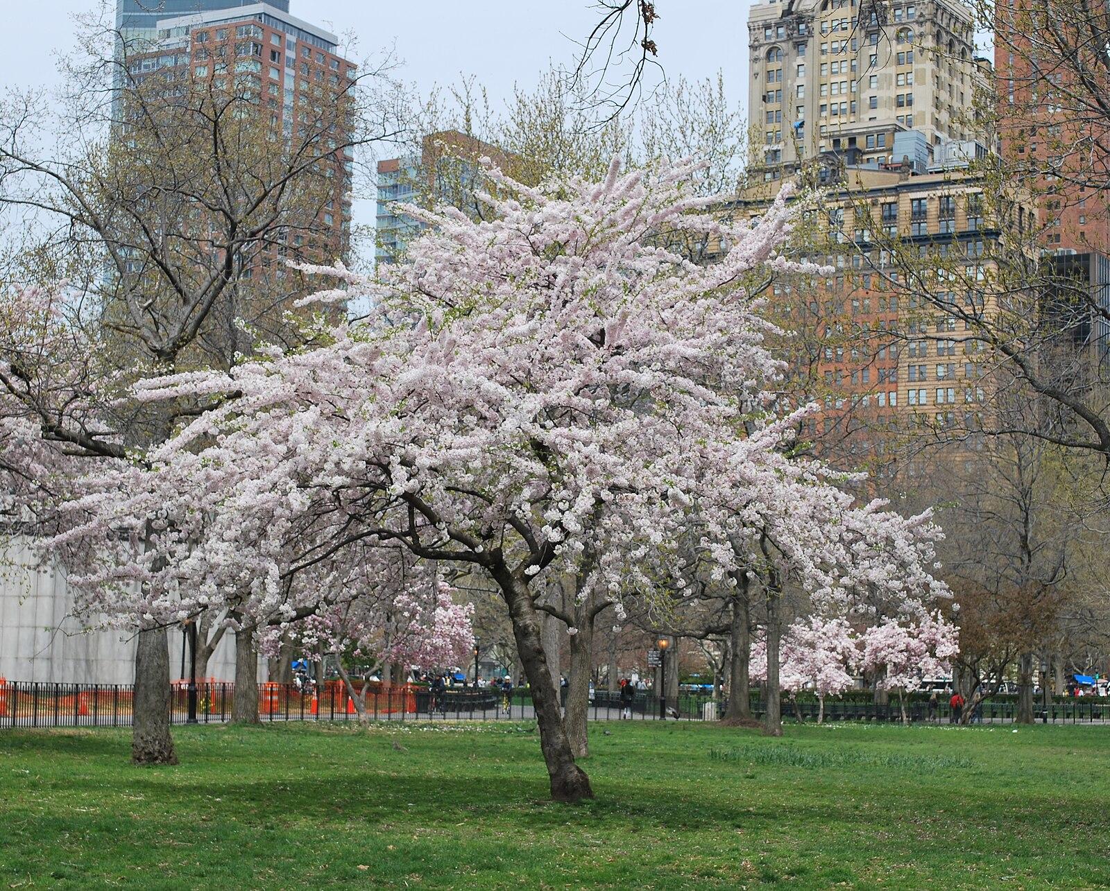 Battery Park, Manhattan panoramio