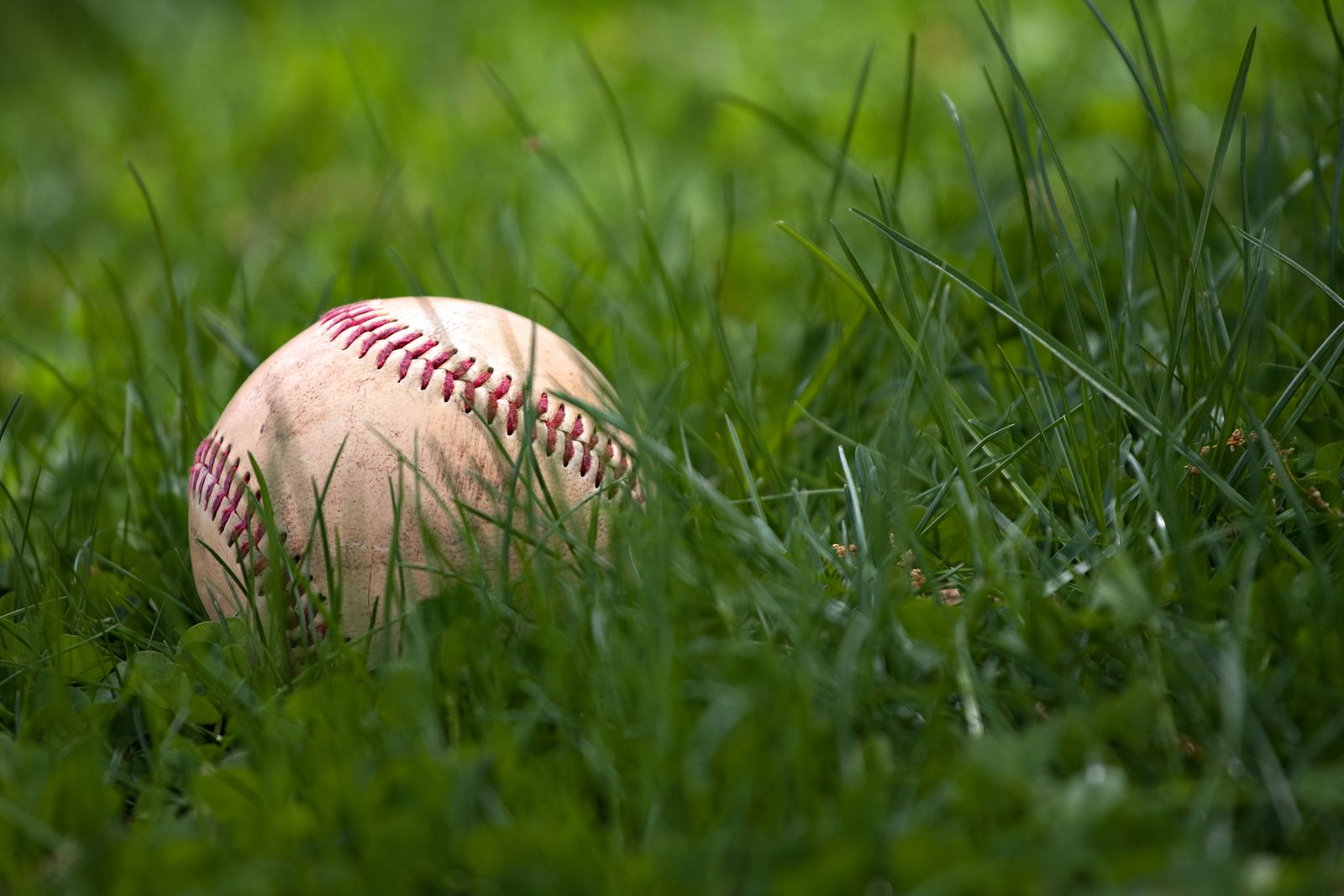 Birmingham Sports Off-Season: How to Get Involved and What You Need to Know to Start