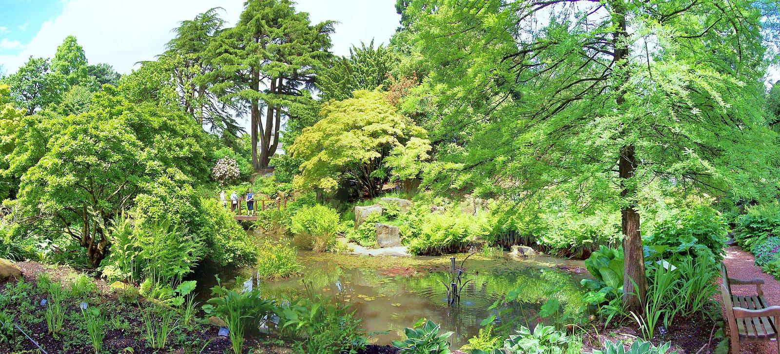 Birmingham Residents Discover Top Weekend Spots This Summer